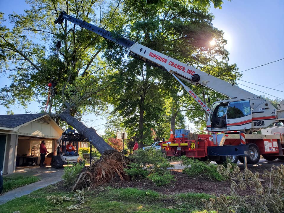 tree-on-house-tree-removal-the-lumberjacks-llc-upstate-south-carolina-1