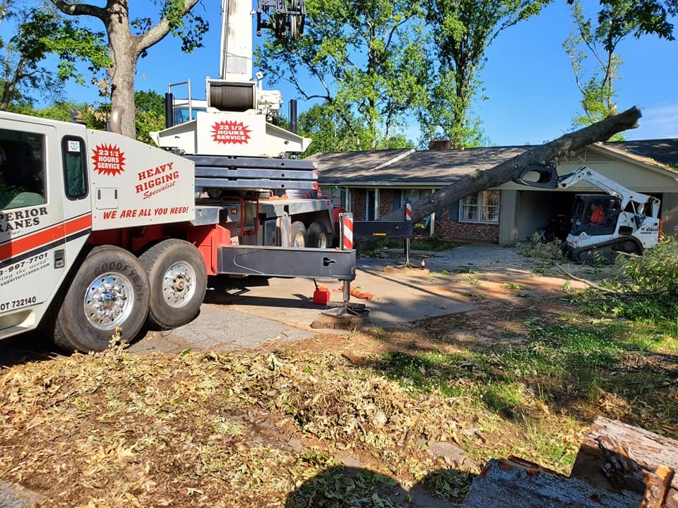 tree-on-house-tree-removal-the-lumberjacks-llc-upstate-south-carolina-2